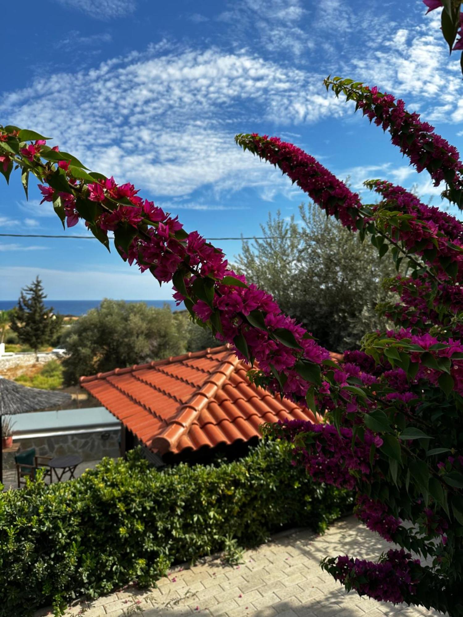 מלון דירות Southern Dreams גנאדי